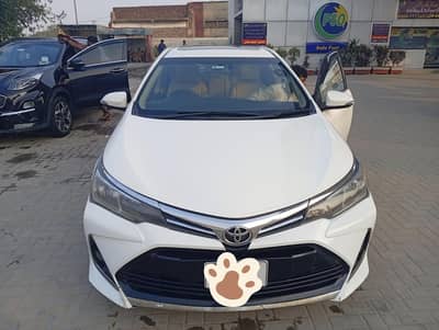 Toyota Altis Grande 2015