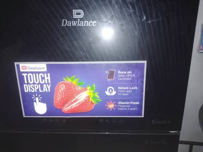 Dowlance Medium Size