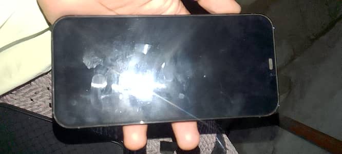 Apple iPhone 12 Pro Max