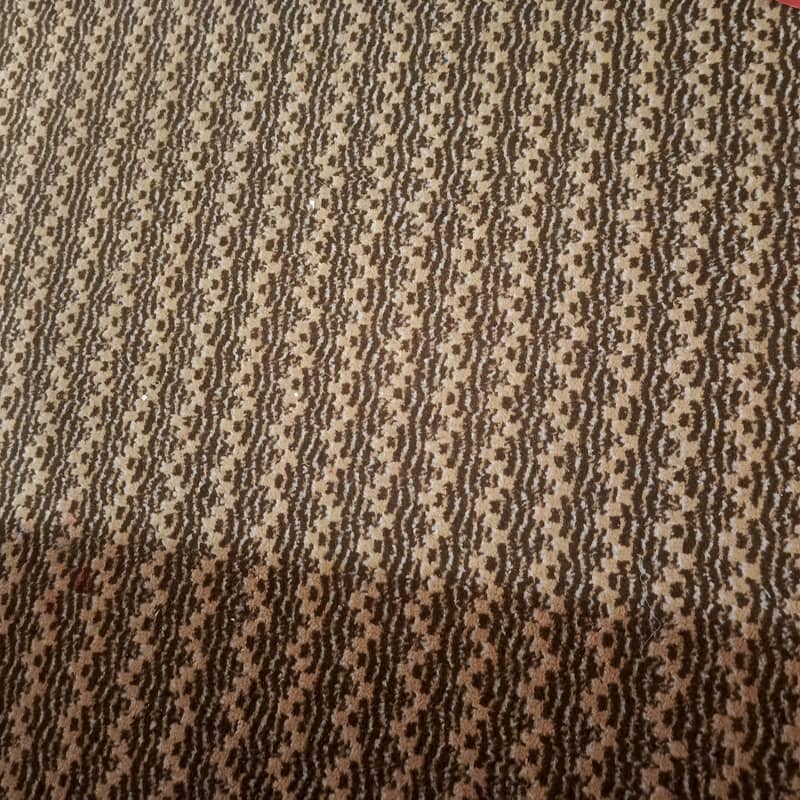 carpet 1