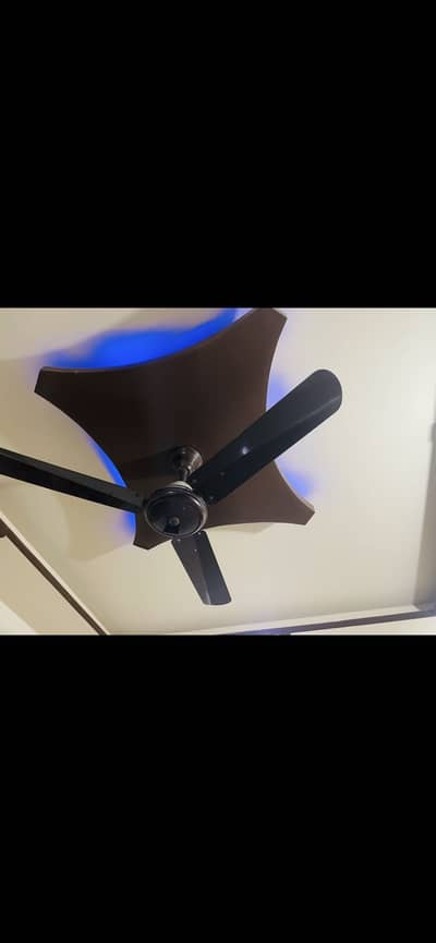 6 fans in different brands