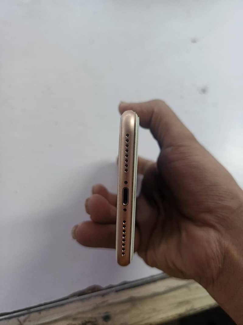 Ipone 2
