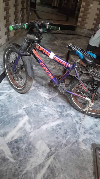 Phoenix DVAL Bicycle