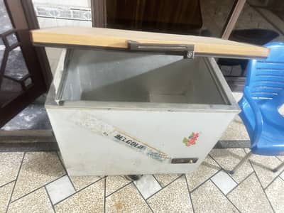 BelCold Single door freezer