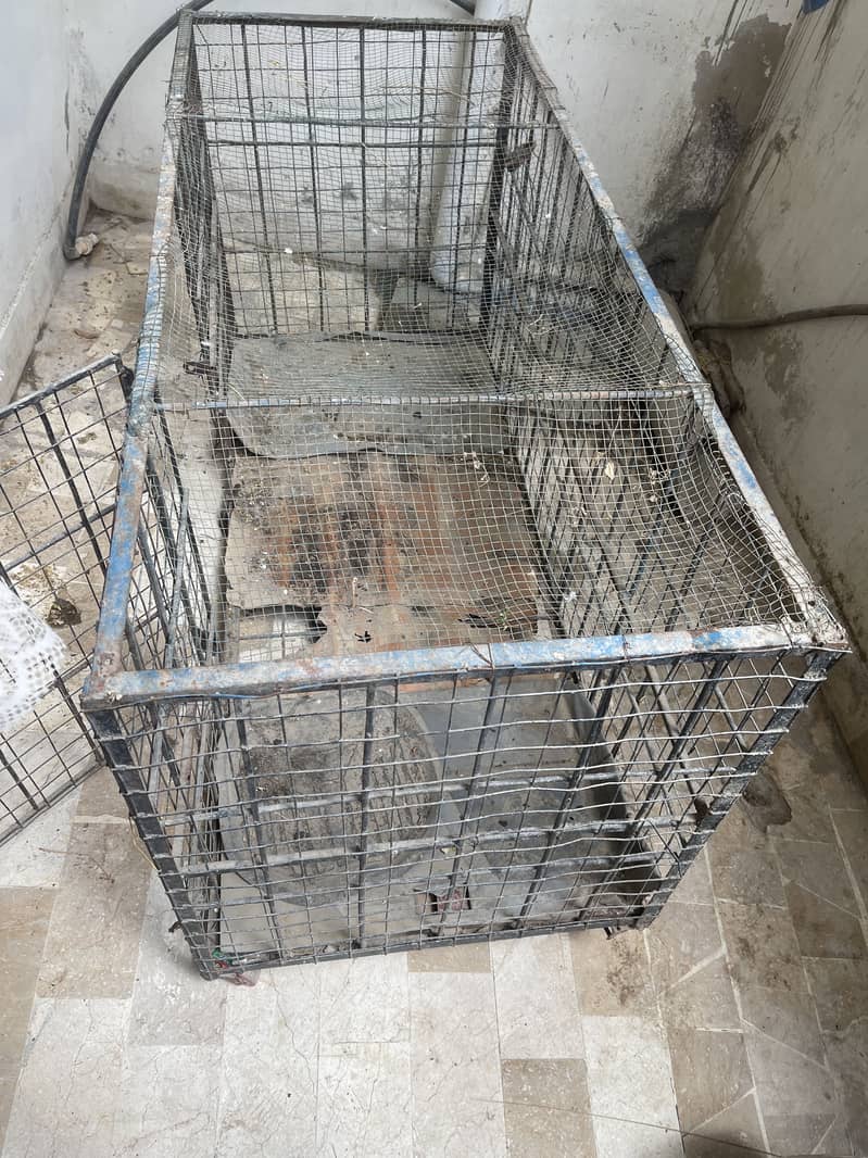 Farming cage 10