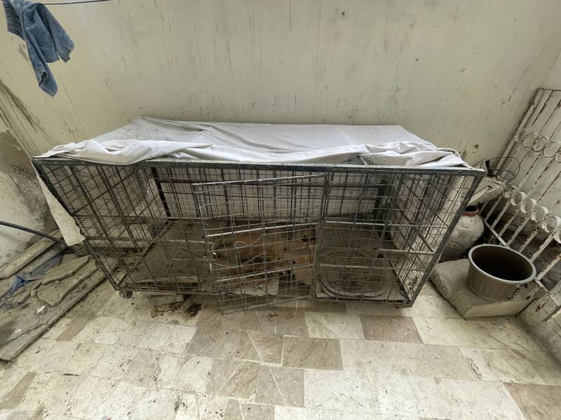 Farming cage 11