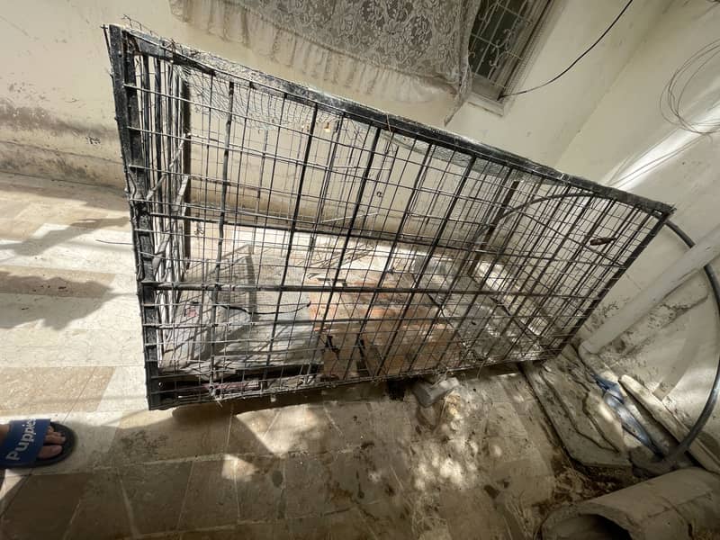 Farming cage 12