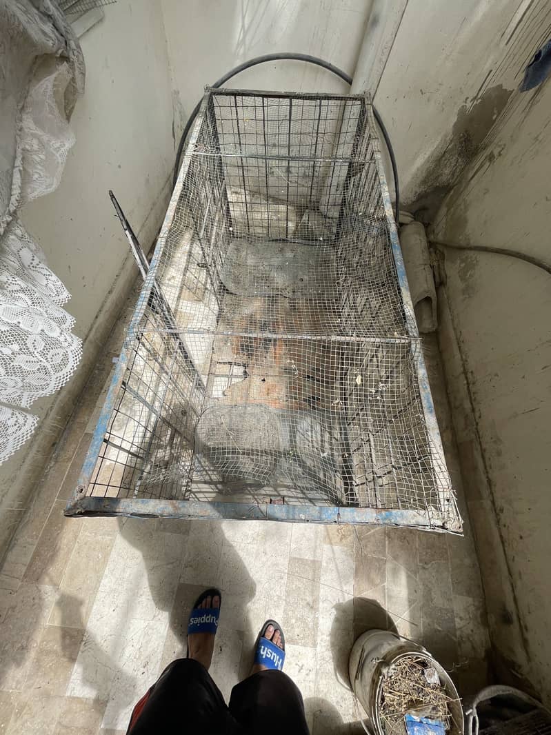 Farming cage 13
