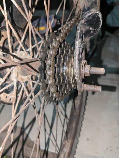 Bicycle