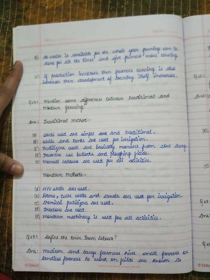 Assignment writing 1
