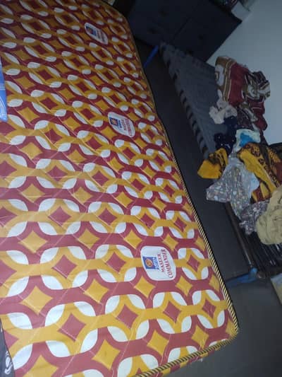 queen bed size master commander 8inches