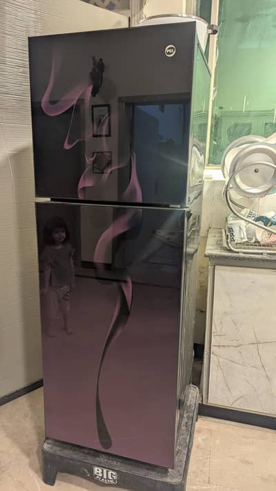 pel refrigerator glass door  in good condition