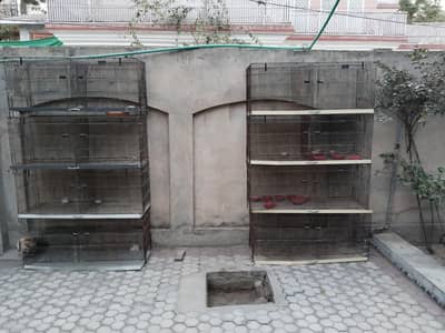 Folding cage 8 portion available