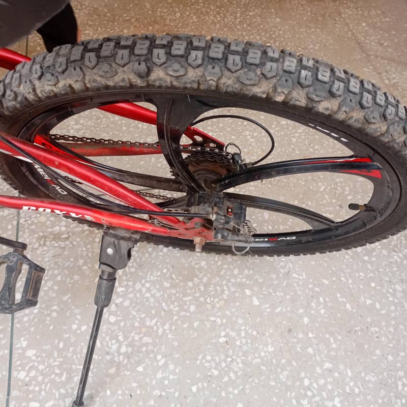 Roxy cycle 1
