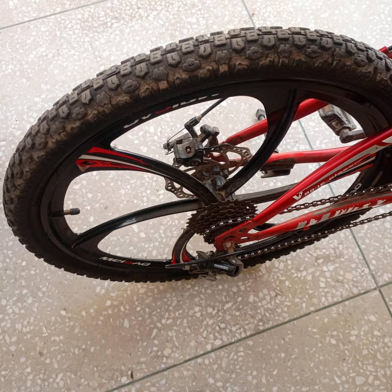 Roxy cycle 4