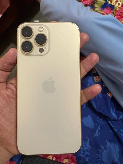 Apple iPhone 13 Pro Max