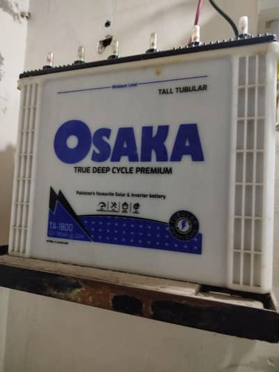 Osaka tall tubler TA_1800
