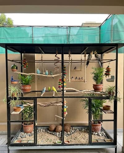 Brand new double cabin with a beautiful Australian parrots