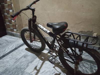 Phoenix ki cycle ha