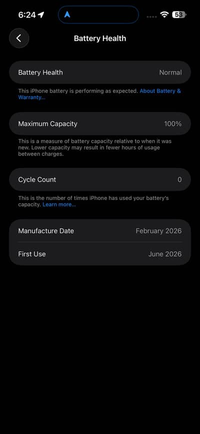 Apple iPhone 17 Pro Max 256 1cycle silver color jv