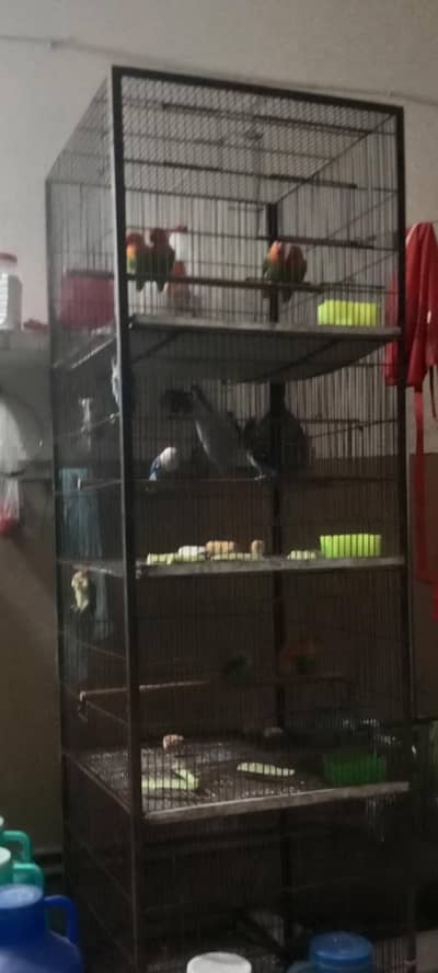 bird cage for sale