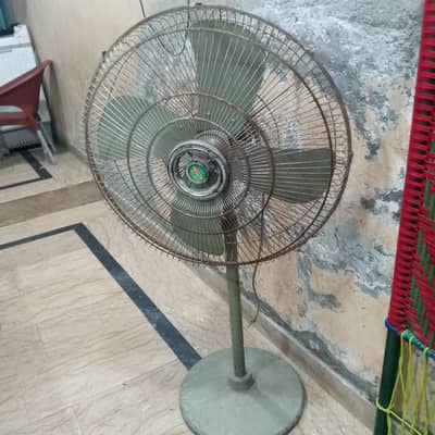 fan (taj Asia)