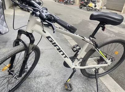 Giant Cycle