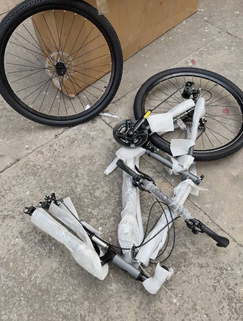 Giant Cycle 1