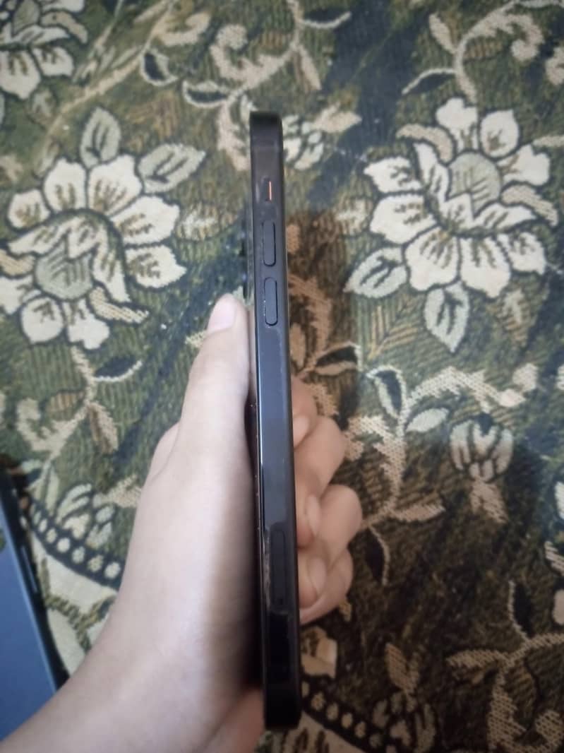 Apple iPhone 12 1
