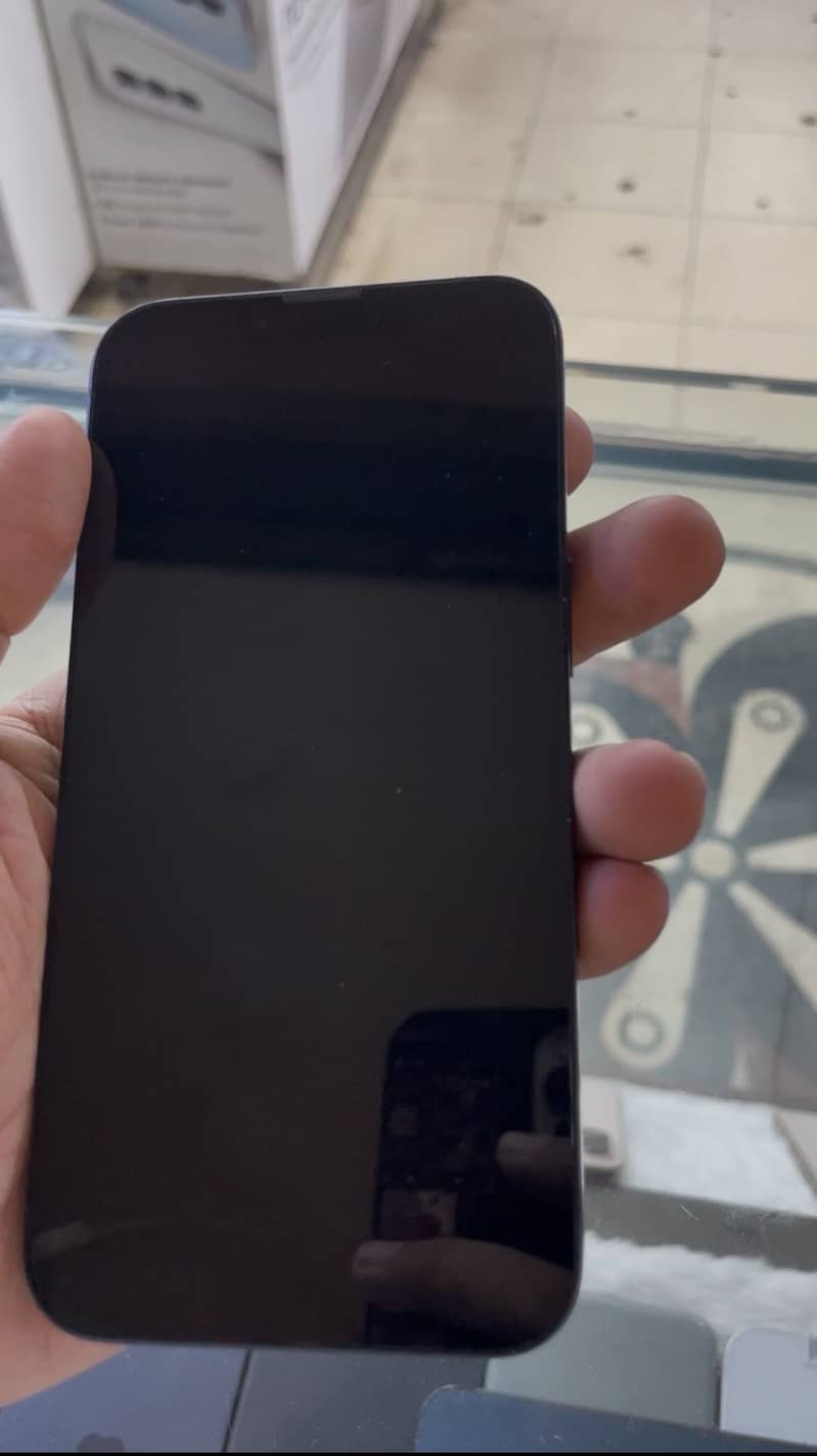 Apple iPhone 13 0