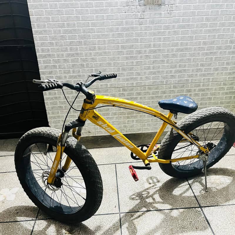 mountain cycle 0
