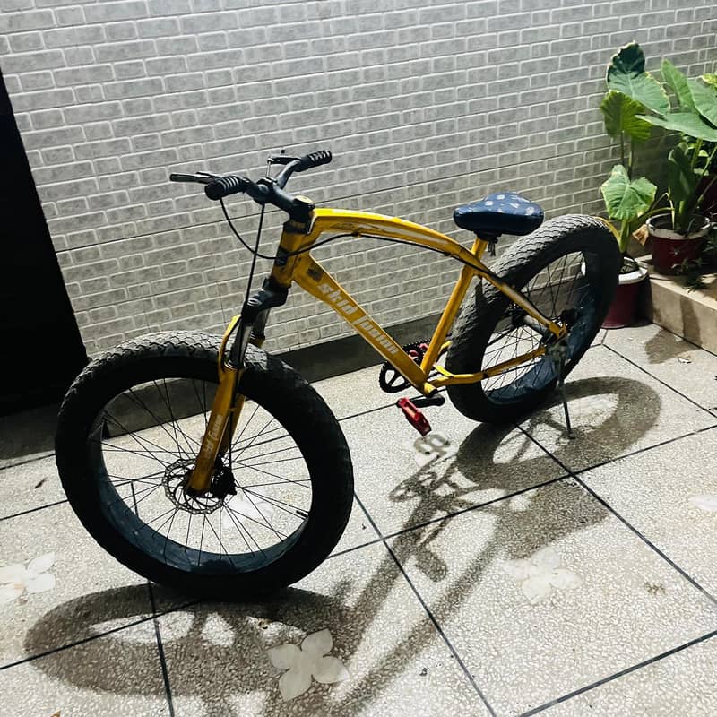 mountain cycle 1