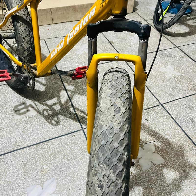 mountain cycle 2
