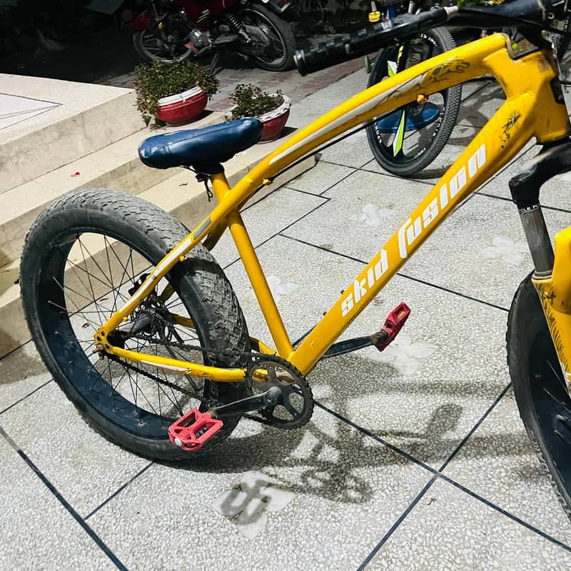 mountain cycle 3