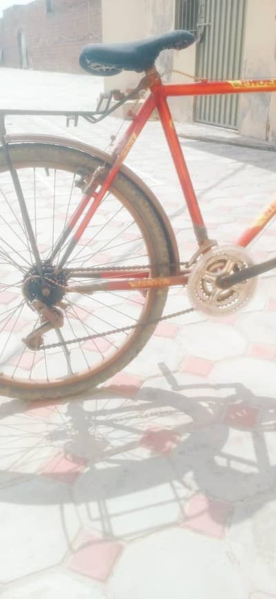 Racing Cycle