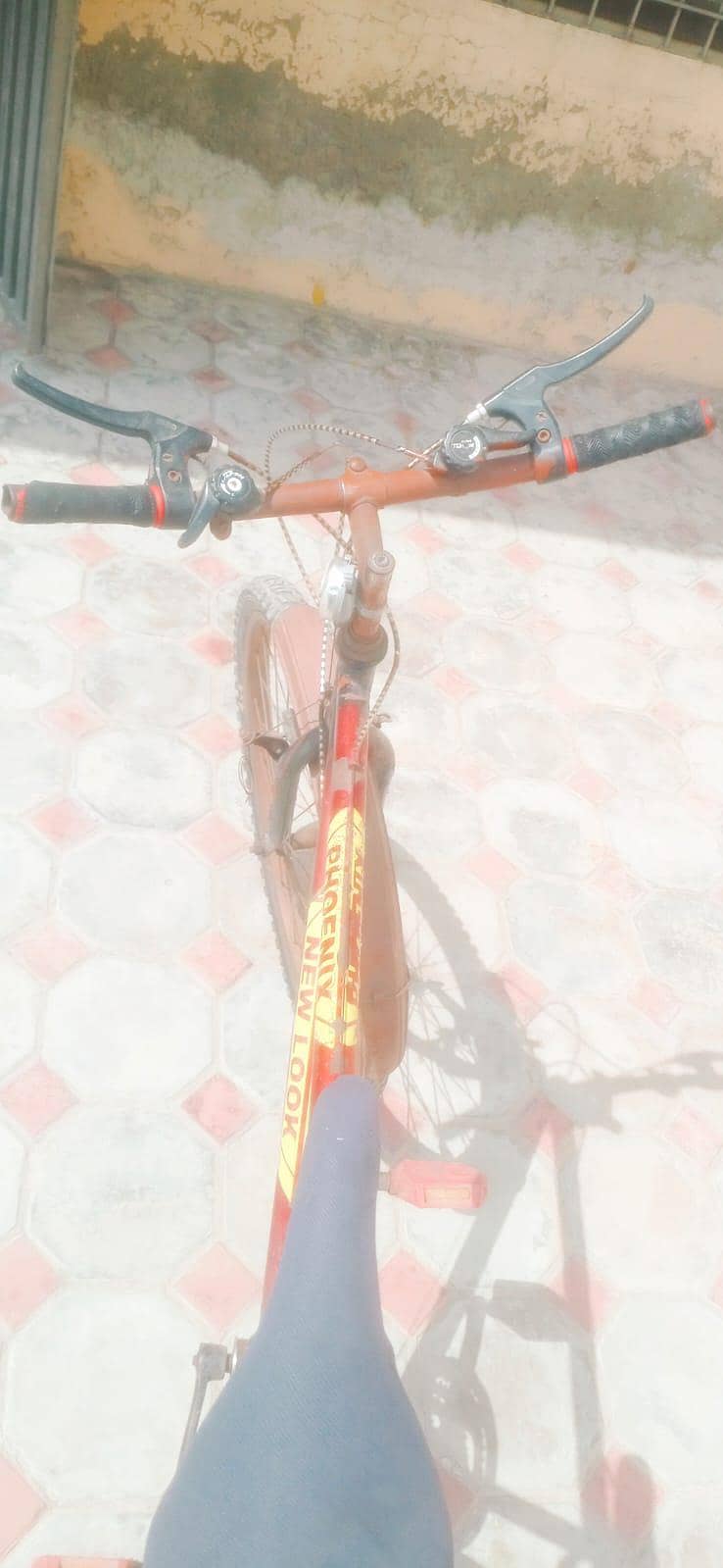 Racing Cycle 1