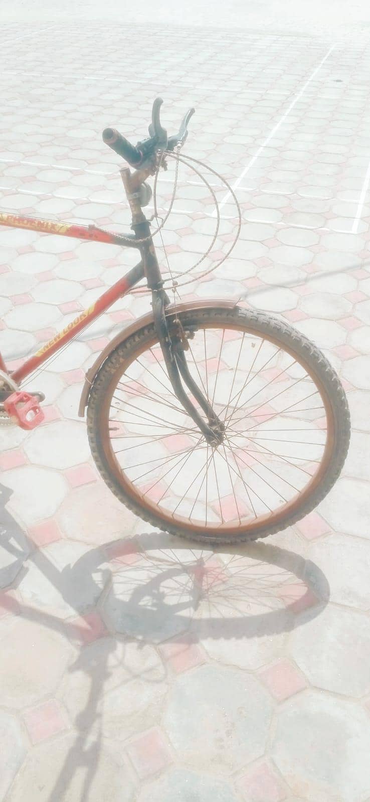 Racing Cycle 8