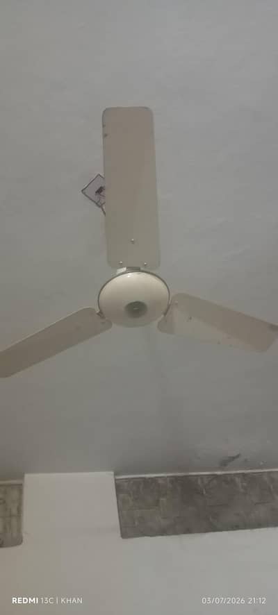 10 Fans For sale
