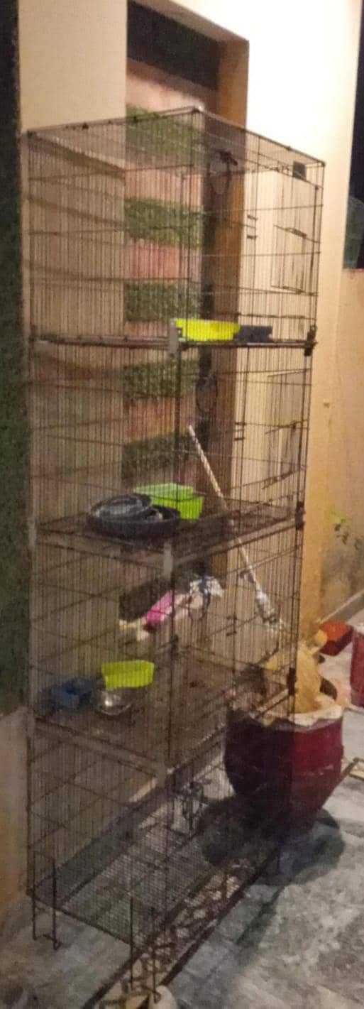cages 1