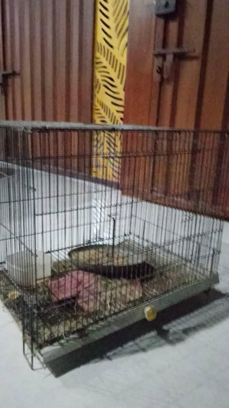 cages 3