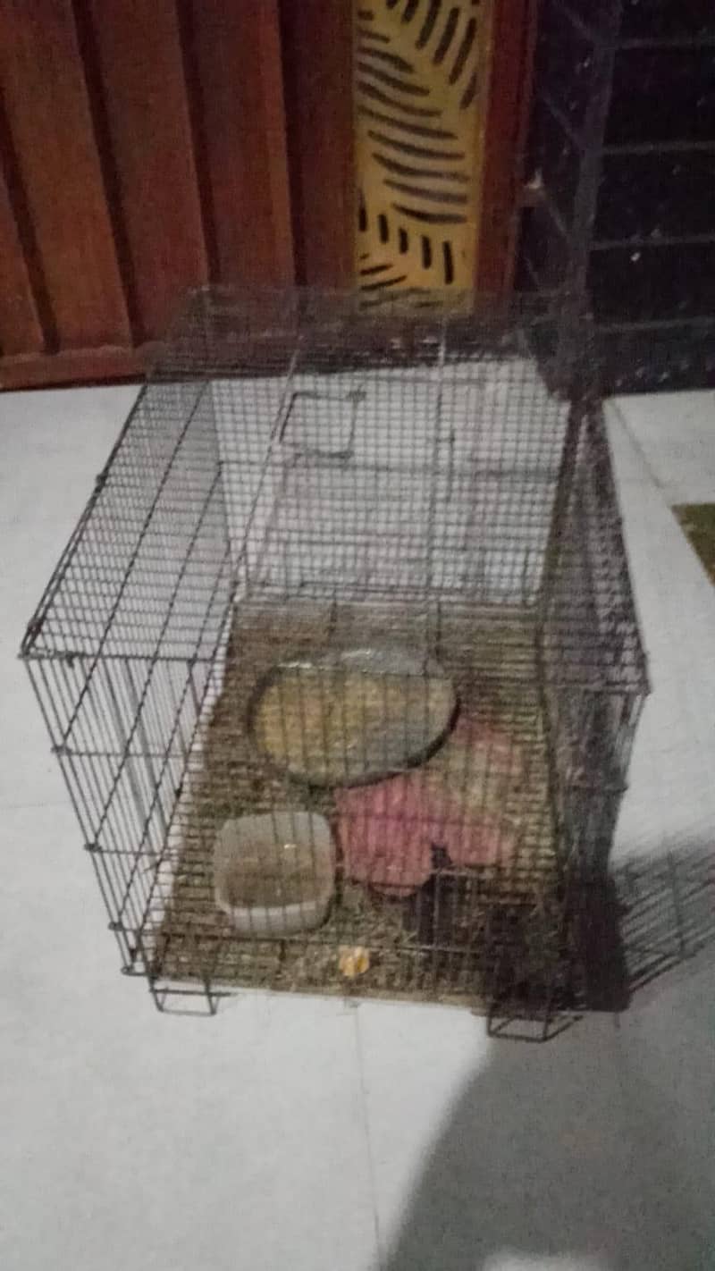 cages 4