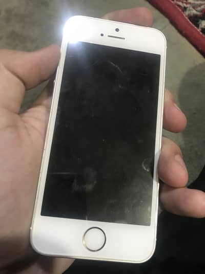 Apple iPhone SE bypassed