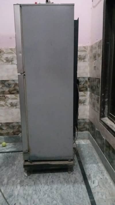 PEL larg size