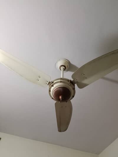 2 Ceiling Fans are Available for Sale