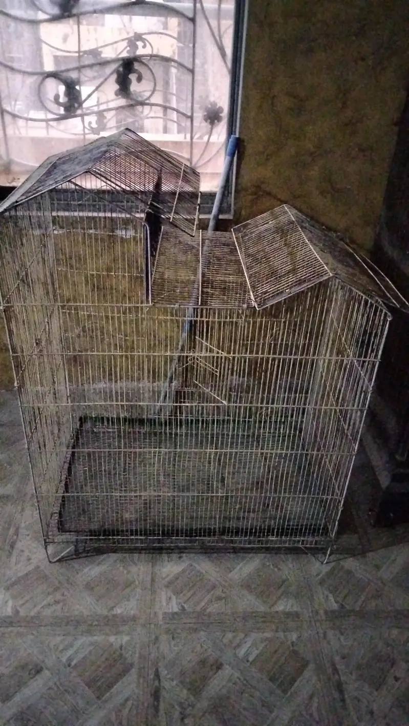 big size cage for love bird cage