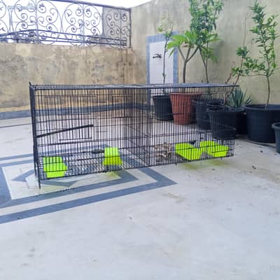good cage with partition in best price