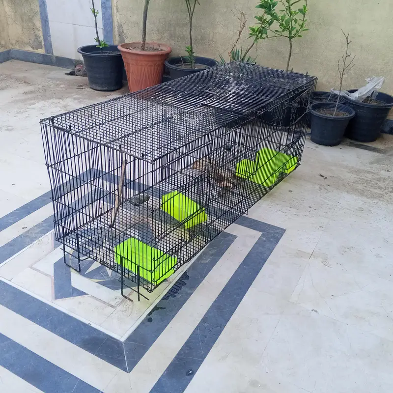 good cage with partition in best price — photo 2