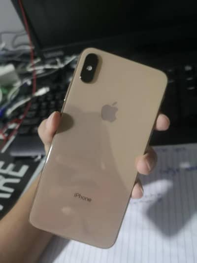 Xs Max 256 Factory Unlock