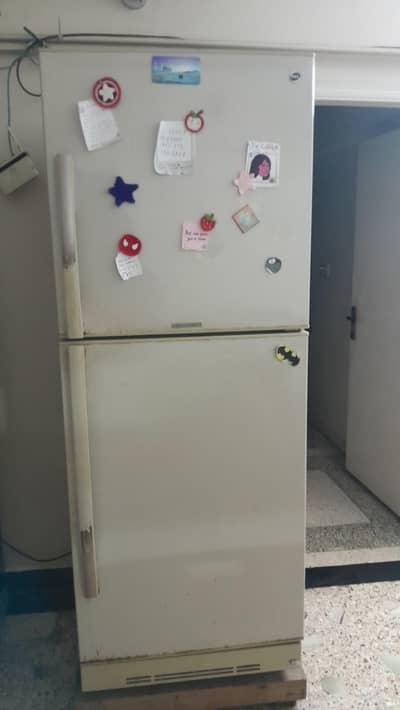 PEL Refrigerator