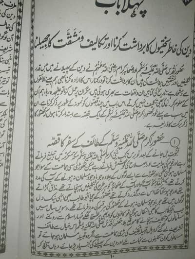 I am A Quran & Primary tuitor